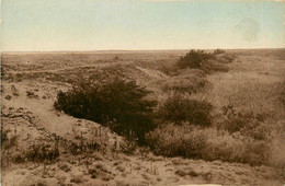 St Trojan * Les Dunes De La Côte Sauvage - Other & Unclassified