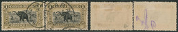 Congo Belge - Mols : N°70 X2 Obl Simple Cercle "Niangara" (Type Différent) / Eléphant - Used Stamps