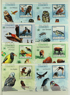 COMOROS ISLANDS TOPICALS, CAT €5500 ! 2009-11 Miniature Sheets Featuring Flora, Fauna, Marine Life, Insects, Dinosaurs,  - Autres & Non Classés