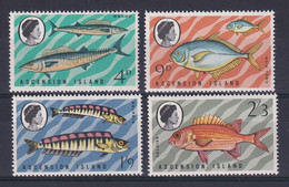 Ascension: 1970   Fishes (Series 3)    MNH - Ascension (Ile De L')