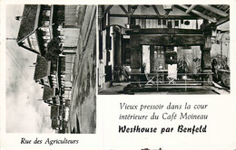 BAS RHIN  BENFELD Rue Des Agriculteurs  " Café Moineau " ( Cpsm ) - Benfeld