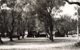 CP Grèce - Tantis Corfou - Dassia - Tentes - Campement - Tente Le Sphinx - Greece