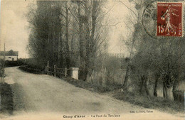 Avord * Le Camp * Route Et Le Pont De Terrieux - Avord