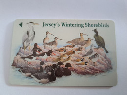VERENIGD KONINKRIJK / JERSEY  /JERSEYS WINTERING SHOREBIRDS      USED CARD    **10681** - [ 7] Jersey Und Guernsey