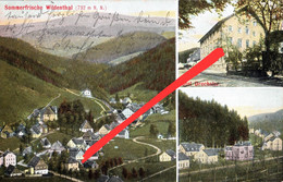 AK Wildenthal Hotel Gasthof Drechsler A Eibenstock Sosa Carlsfeld Steinbach Johanngeorgenstadt Erlabrunn Erzgebirge - Eibenstock