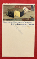 Delcampe - Cartolina Pubblicitaria - Ditta Pelagatti - Esportazione Formaggi - Parma 1910 - Parma