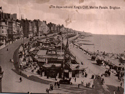 BRIGHTON - THE AQUARIUM AND KING'S CLIFF - Brighton