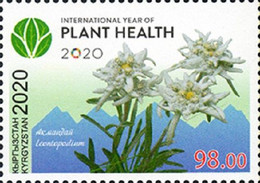 2020 Kyrgyzstan International Year Of Plant Health MNH - Kyrgyzstan