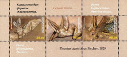 2020 Kyrgyzstan Fauna - Bats Of Kyrgyzstan - Plecotus Austriacus MNH - Kyrgyzstan