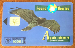 ESPAGNE TELEFONICA AIGLE RAPACE PRÉPAYÉE PREPAID TÉLÉCARTE PHONECARD TARJETA TELEFONKARTE CALLING CARD - Eagles & Birds Of Prey