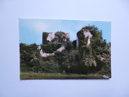 SEMBLANCAY  -  37  -  Ruines Du Vieux Château  -  Indre Et Loire - Semblançay