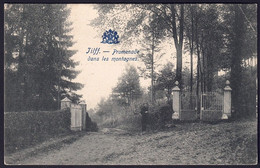 +++ CPA - TILFF - Promenade Dans Les Montagnes  // - Esneux