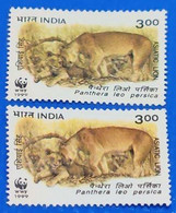 India - Asiatic Lion - Error - Dry Print- Colour Error 1999 Mammal Carnivour Mint 2v MNH (**) Inde Indien - Plaatfouten En Curiosa