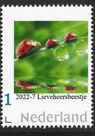 Nederland  2022-7  Nature:  Lieveheersbeestje - Ladybug    Postfris/mnh/neuf - Ungebraucht
