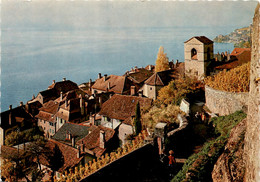 Le Lavaux, Saint-Saphorin (25) - Saint-Saphorin