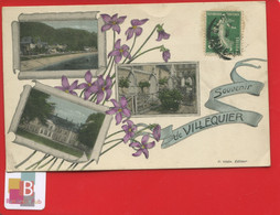 CPA Souvenir De Villequier Vedie Editeur Fleurs Violettes - Villequier