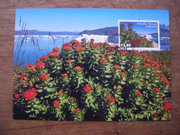 Carte Maximum 2014 Rhodiola Rosea Goenland Sud (une Racine D'or Pour Un Moral D'acier) - Cartes-Maximum (CM)