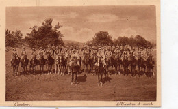 Militaria Très Animée Cavalerie L'Escadron De Marche Cavaliers Chevaux - Manoeuvres