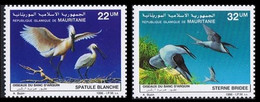 MAURITANIE** - Oiseaux Du Banc D'Arguin - Spatule Blanche / Euraziatische Lepelaar - Sterne Bridée / Hoofdste - Buzin - Mauritania (1960-...)