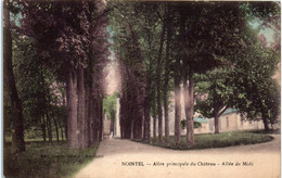 95 NOINTEL - Allée Principale Du Chateau - Allée Du Midi - Nointel