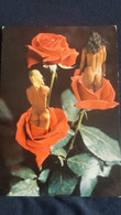 CPSM 2 PIN UP FEMMES NUES NU DANS 2 ROSES ROUGES GEANTES BOUTON - Pin-Ups