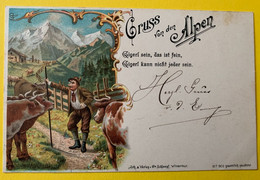 17969 - Gruss Von Den Alpen Touriste Et Vaches Liestal 1.10.1898 Pour Holstein - Liestal