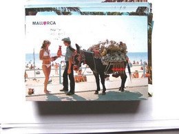 Spanje Spain Espana Mallorca Donkey And Nice Woman - Mallorca