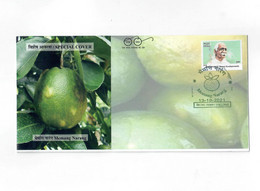India 2021 Memang Narang GI Tag , Wild Orange Of Meghalaya , Fruit, Gastronomy , Food , Cover  (**) Inde Indien - Storia Postale