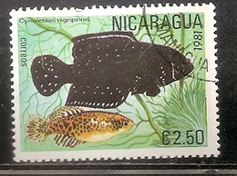 NICARAGUA OBLITERE - Nicaragua