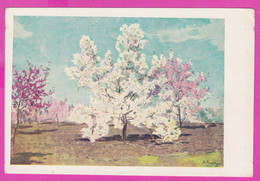 278638 / Moscow, Russia Painter Art Nikolai Romadin - Apple Tree "Taiga" Landscape PC 1951 USSR Russia - Arbres