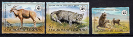 Delcampe - LESOTHO - Faune, Chat, Singe, Porc-épic, Phofu, Oribi, WWF - N° 470-474 - MNH - Lesotho (1966-...)