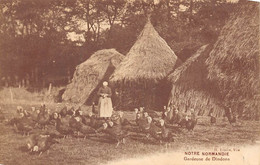 Divers  Non Classé.         14            Normandie     Gardeuse De Dindons              (voir Scan) - Andere & Zonder Classificatie