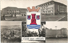 AC1269 Esch Sur Alzette - Lycée De Jeunes Filles - Parc Laval - Les Bains / Viaggiata 1956 - Esch-Alzette