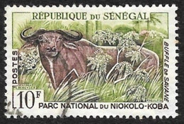 SENEGAL  1960 -  YT 199  - Buffle  - Oblitéré - Senegal (1960-...)