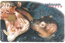 CARTE PUCE-SUISSE-20CHS-6/99-HYPPOPOTAMES-Utilisé-TBE - Giungla