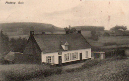 Flobecq Bois Voyagé En 1911 - Vloesberg
