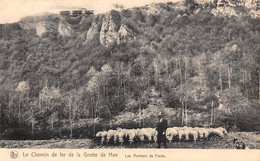 Le Chemin De Fer De La Grotte De Han - Les Rochers De Faule - Rochefort