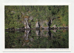 AK 074825 CANADA - Newfoundland - Küste Bei Griquet Nördlich St. Anthony - Sonstige & Ohne Zuordnung