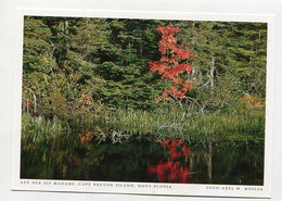 AK 074828 CANADA - Nova Scotia - Cape Breton Island - Auf Der Ile Madame - Cape Breton