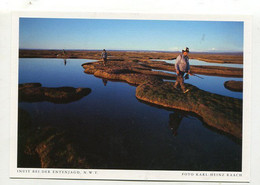 AK 074831 CANADA - N. W. T. - Inuit Bei Der Entenjagd - Autres & Non Classés