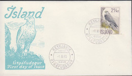 1960. Islandic Falcon. 25 Kr. FDC REYKJAVIK -1. III. 60. (Michel 339) - JF432144 - Briefe U. Dokumente