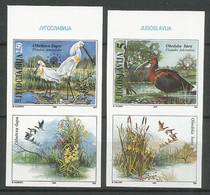 Yugoslavia ERROR Mi.2781/82 Complete Set IMPERFORATED With LABELS ** / MNH 1996 Europa Hang-on Issues Birds - Sin Dentar, Pruebas De Impresión Y Variedades