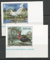 Yugoslavia ERROR Mi.2781/82 Complete Set IMPERFORATED ** / MNH 1996 Europa Hang-on Issues Birds - Ongetande, Proeven & Plaatfouten