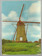 ***  ARENDONK  ***  -  Toremans Molen  -  Zie / Voir Scan's - Arendonk