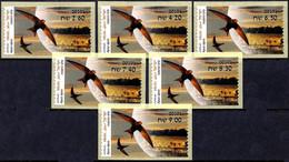 ISRAEL 2022 - Animals In Domestic Areas, The Common Swift - 6 Jerusalem ATM # 101 Labels - MNH - Golondrinas