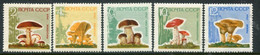 SOVIET UNION 1964 Fungi On Varnished  Paper MNH / **.  Michel 2983-87y - Nuovi