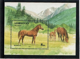 Azerbaijan 1993 . Horses ( Mountainns) . S/S: 8m. Michel # BL 1 - Azerbaïdjan