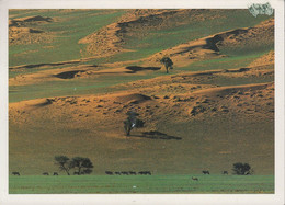 Namibia - Namib Desert - Nice Stamp - Namibië