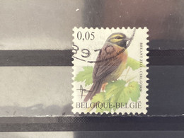 België / Belgium - Vogels (0.05) 2005 - Used Stamps