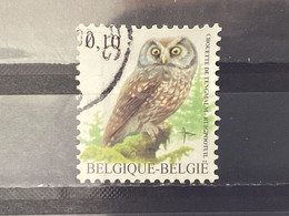 België / Belgium - Vogels (0.10) 2007 - Used Stamps